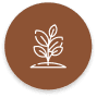 https://cdn.codiehost.com.br/codie/l1o4amg2.dlw.png