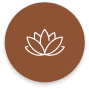 https://cdn.codiehost.com.br/codie/wfdt4ja2.1i5.png